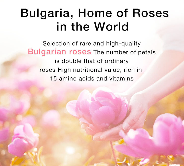 Ellen Ella Radiant Niacinamide Essence Toner