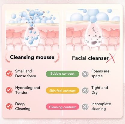 Ellen Ella Low Ph Amino Acid Gentle Cleansing Mousse